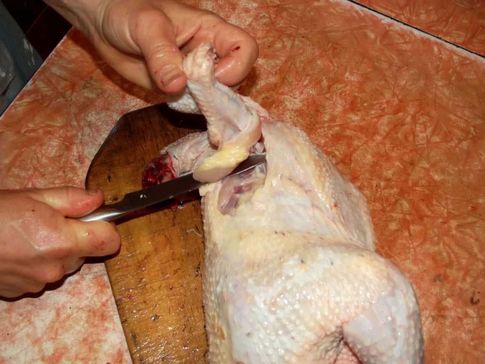 Lay the chick on its back, and cut around the wings, pulling the joint loose as you do.