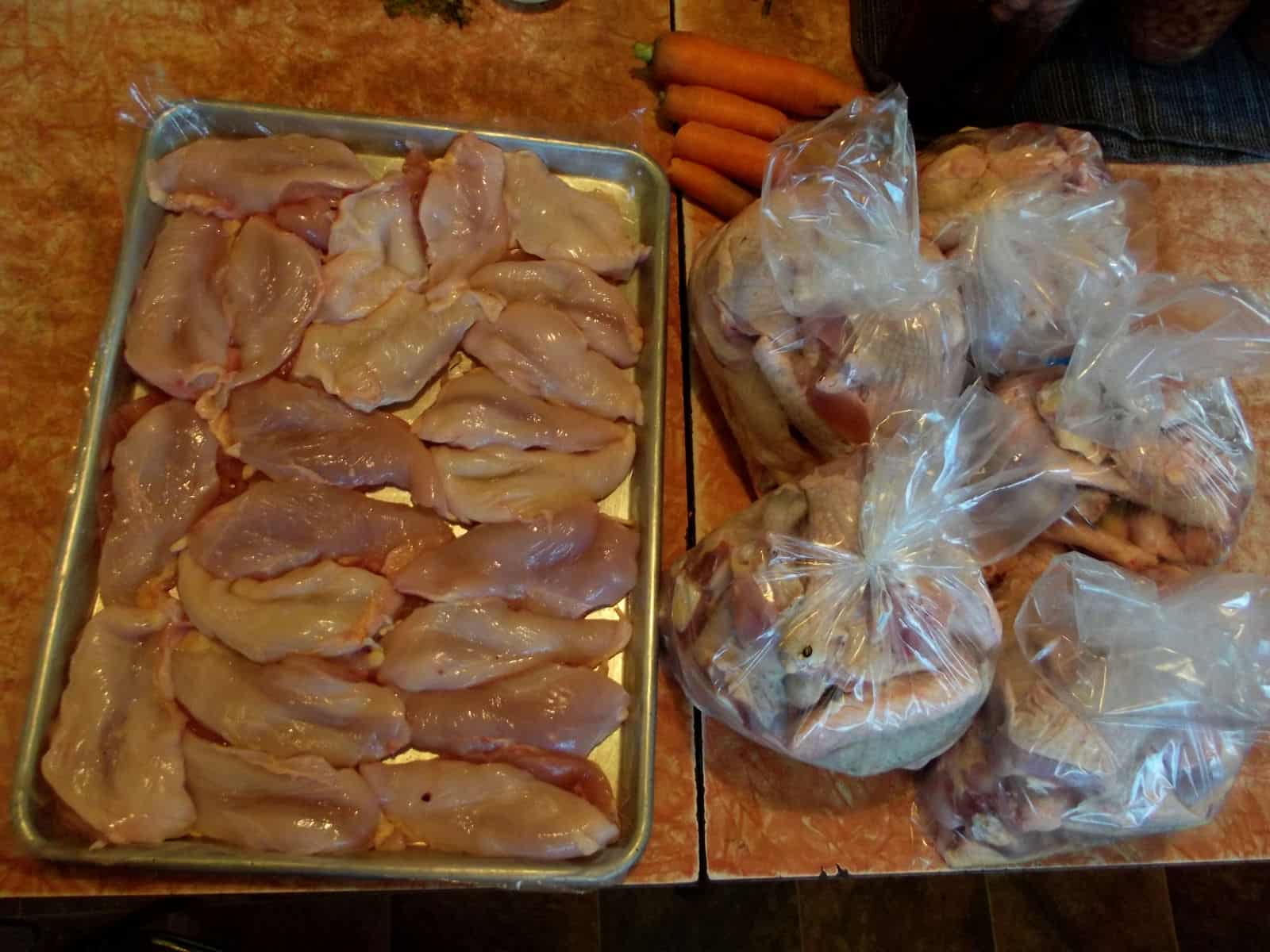 After packaging: A tray of breast meat to freeze individually, then bag, and five meal's worth of pieces. After I laid out the breast pieces, I remember that they need to be aged, so I put them in a bag and will lay them out again in three days. We always keep our chicken in the fridge for three days before freezing, so it is more tender.